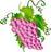 Logo: Southern Arizona Wine Tour